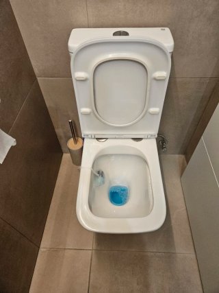 Inodoro porcelana blanco