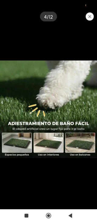 Tappeto in erba per animali domestici