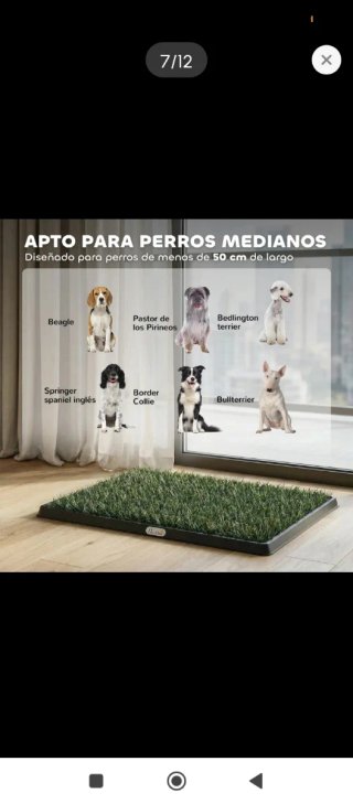 Tappeto in erba per animali domestici