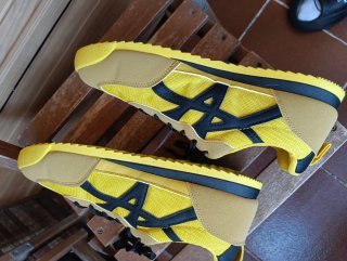 Zapatillas Hombre