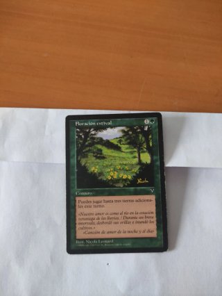 Mtg  Floración Estival