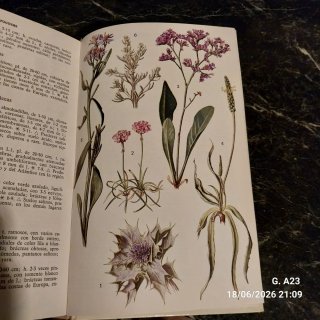Guía de las flores de Europa
