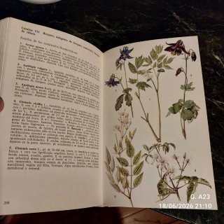 Guía de las flores de Europa
