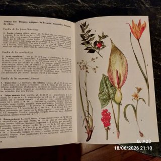 Guía de las flores de Europa