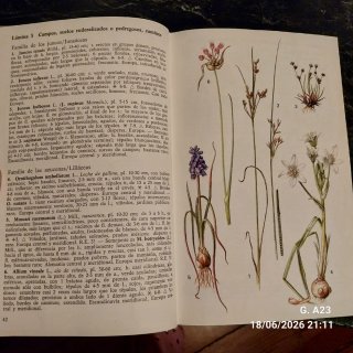Guía de las flores de Europa