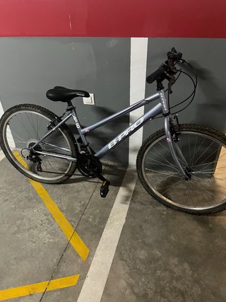 Bicicleta B-Pro AP-10 Gris
