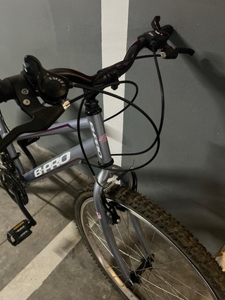 Bicicleta B-Pro AP-10 Gris
