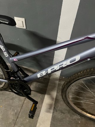 Bicicleta B-Pro AP-10 Gris