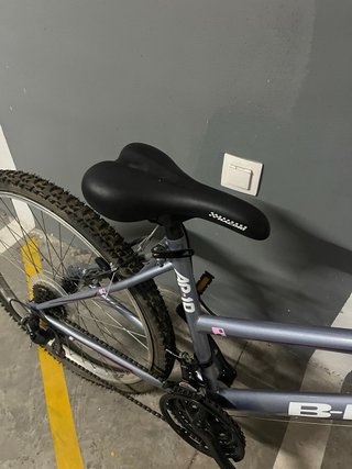 Bicicleta B-Pro AP-10 Gris