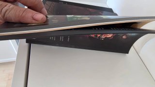 Dog Mendonça e pizza boy livro 2