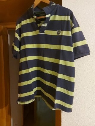Polo Rayas Azul y Verde