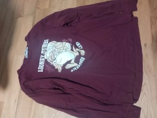 Camiseta Looney Tunes Taz Adventure Camp