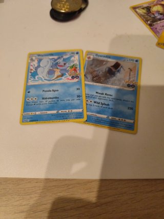 Carta Pokémon Wartortle GO 016/078
