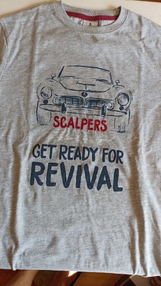 Camiseta Scalpers Gris Talla S