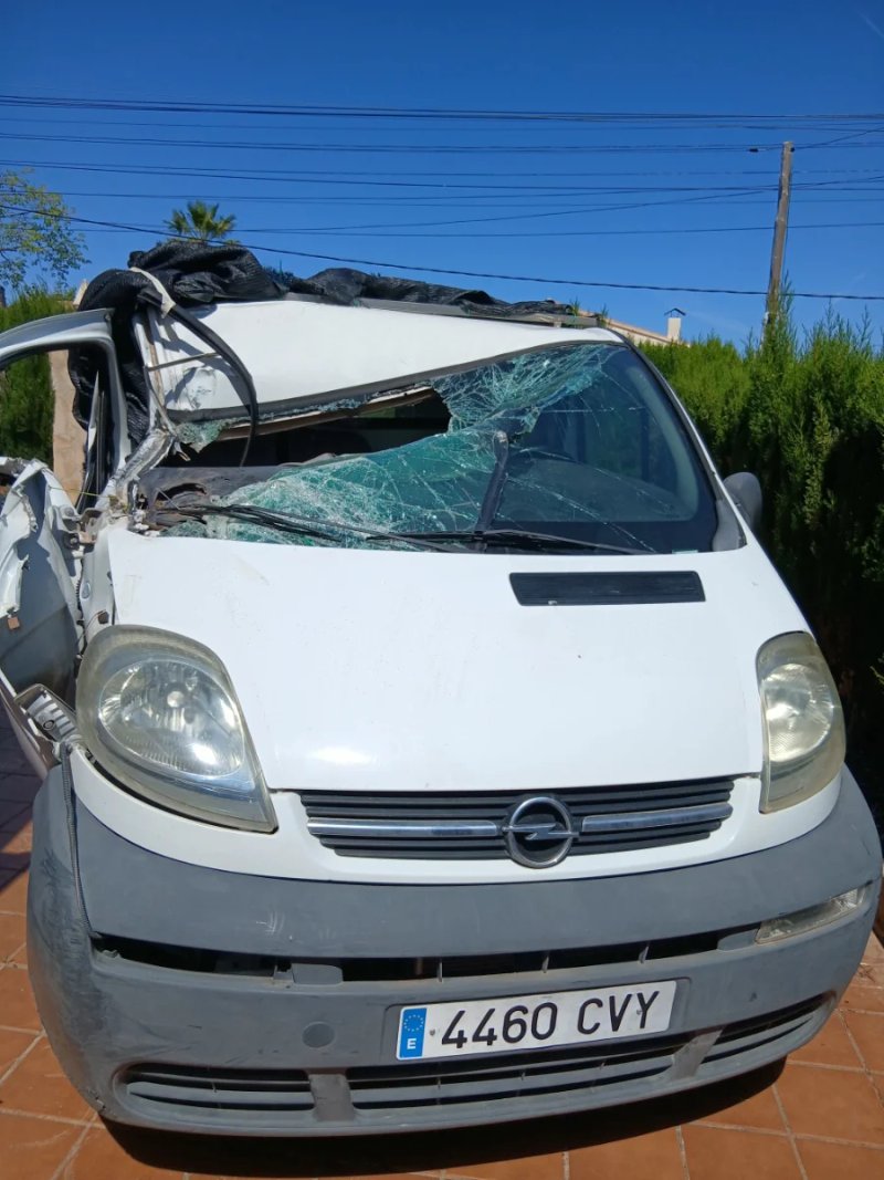 Opel Vivaro 2004 - foto 1