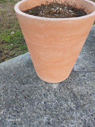 Maceta de terracota grande