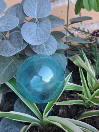 Autoriego de plantas 6 unidades