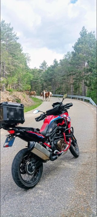 Honda Africa Twin 2024
