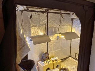 Kit Cultivo Indoor 630W CMH + 600W HPS