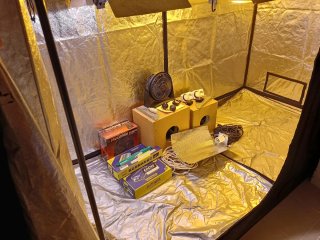 Kit Cultivo Indoor 630W CMH + 600W HPS
