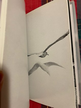 Il gabbiano Jonathan Livingston