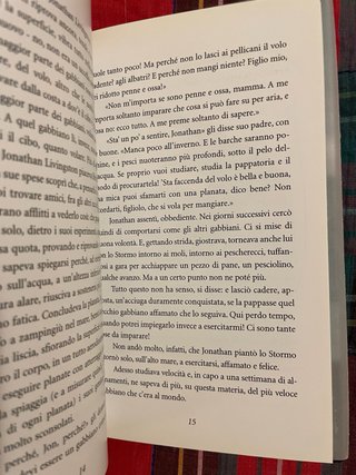 Il gabbiano Jonathan Livingston