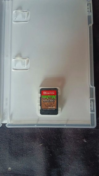Minecraft Nintendo Switch