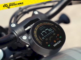 Benda Chinchilla 350 Neo