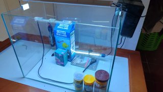 Acuario 50L completo