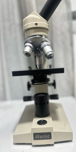 Microscopio Motic Monocular