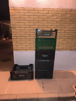 Lote 6 Cajas Fruta Plástico Apilables