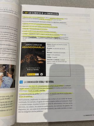 Lengua castellana y literatura 1 Secundaria