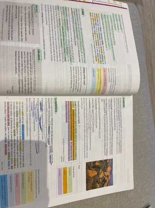 Lengua castellana y literatura 1 Secundaria