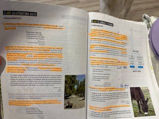 Lengua castellana y literatura 1 Secundaria