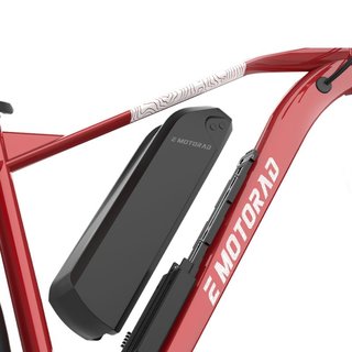 Bicicleta eléctrica E Motorad T- Rex Air Hydro