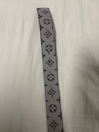 Cinturón Louis Vuitton Gris con Hebilla Dorada