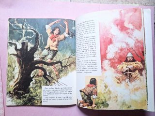 Cuentos inmortales de Perrault ed. Timun mas 1975.