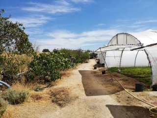FINCA AGRÍCOLA REGADÍO
