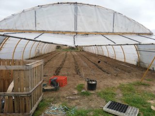 FINCA AGRÍCOLA REGADÍO