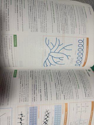 Biología, Geología y Ciencias Ambientales 1 Bac...
