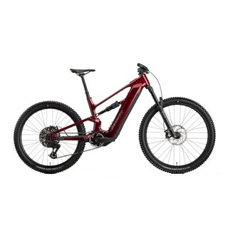Bicicleta eléctrica Raymon Ravor Pro