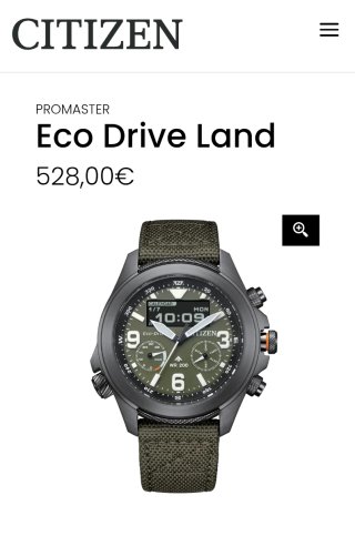 Citizen Landmaster