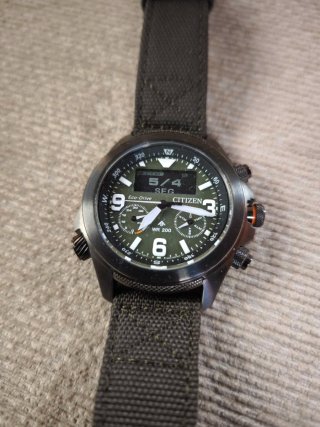 Citizen Landmaster