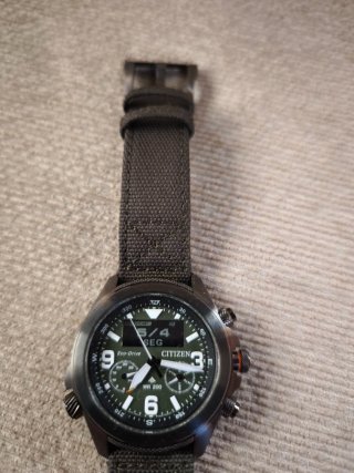 Citizen Landmaster