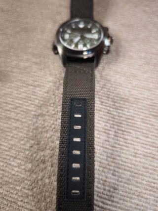 Citizen Landmaster