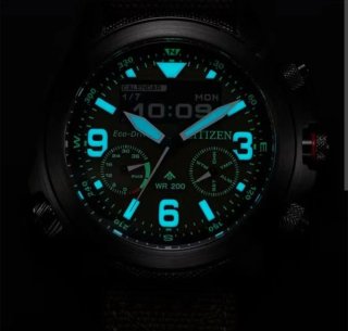Citizen Landmaster