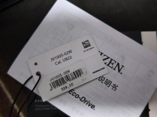 Citizen Landmaster