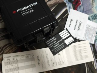 Citizen Landmaster