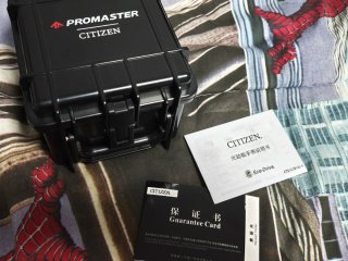 Citizen Landmaster