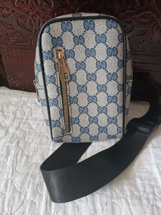 Riñonera Gucci Beige y Azul